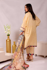 NSM Lawn 3pc (UnStitched) - populartextile