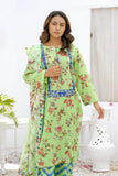 NSM Lawn 3pc (UnStitched) - populartextile