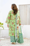 NSM Lawn 3pc (UnStitched) - populartextile