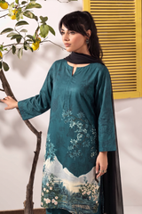 1 Pcs Kurti (Unstitched)