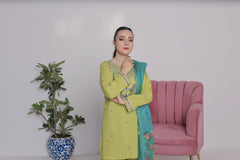 NSM Lawn 3pc (Stitched Embroidered)