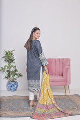 NSM Lawn 3pc (Stitched Embroidered)