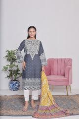NSM Lawn 3pc (Stitched Embroidered)